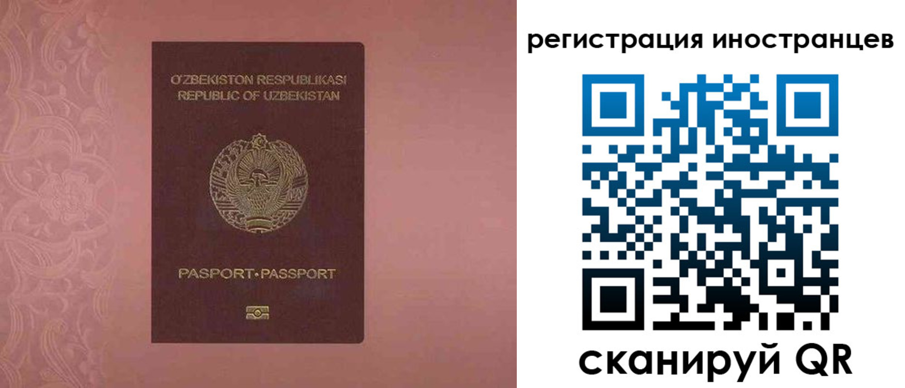 временная регистрация госуслуги в Котельниках